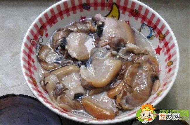 家庭养殖 河蚌家庭怎么养殖技术