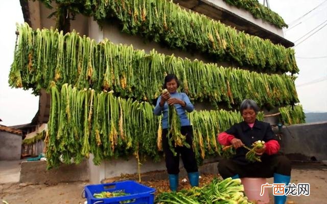 无本钱一个月内赚5万,2021年适合投资的项目