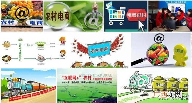 农村种植什么不愁销路 农村种植致富门路