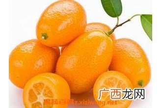 中药金橙子的作用与功效