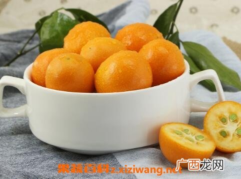 中药金橙子的作用与功效
