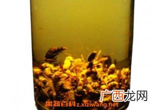 白酒泡蜂虫的功效与作用