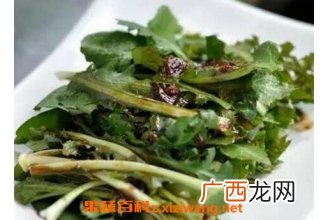 生吃蒲公英的功效 怎么生吃蒲公英