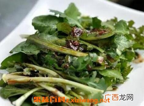 生吃蒲公英的功效 怎么生吃蒲公英