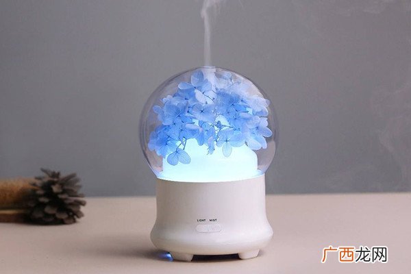 加湿器干烧会不会着火加湿器能一直开着吗