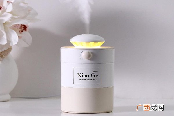 加湿器能开一整晚吗加湿器是加什么水