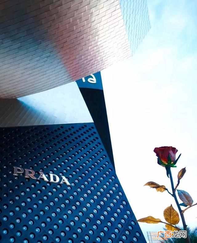 为什么那么多人想去咖啡厅（咖啡厅这么受欢迎