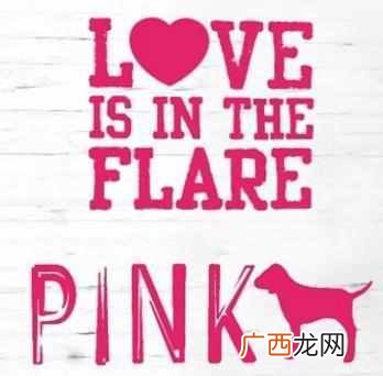 维密pink系列怎么呀 维密pink系列是什么意思