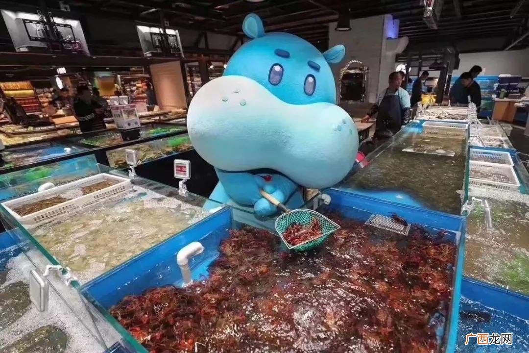 2020年水产养殖什么好 2019水产价格低