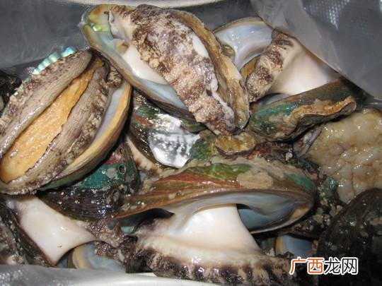 2020年水产养殖什么好 2019水产价格低
