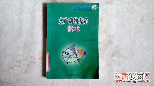 天津水产市场每日价格行情 2019水产市场行情