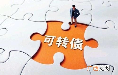 金诺转债今日申购_转股价103.66元