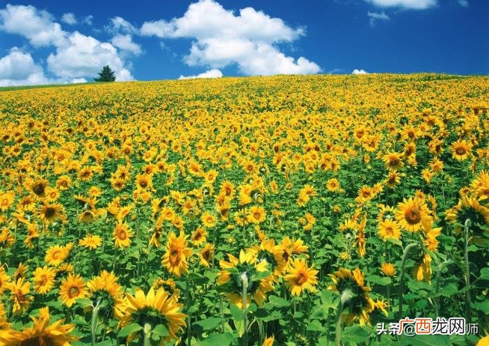 这些教育名言都可当座右铭 关于教育的名人名言