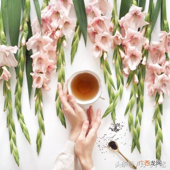 唯美说说文字控带图片 唯美文字图