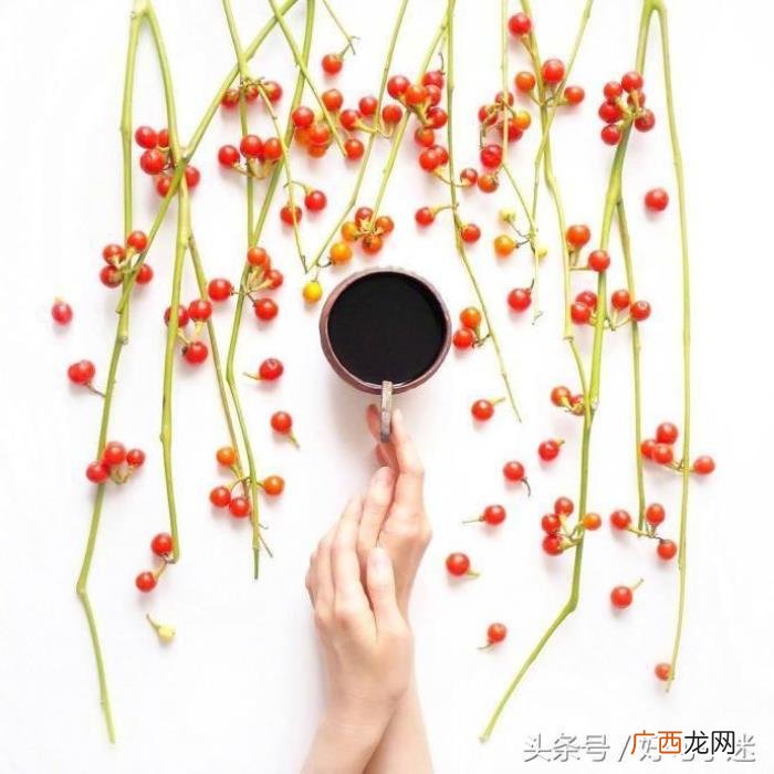 唯美说说文字控带图片 唯美文字图