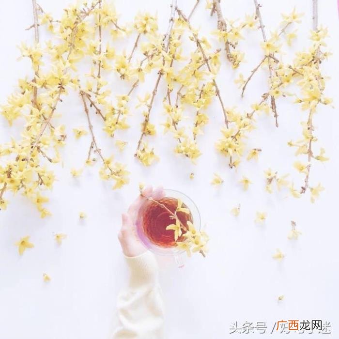 唯美说说文字控带图片 唯美文字图