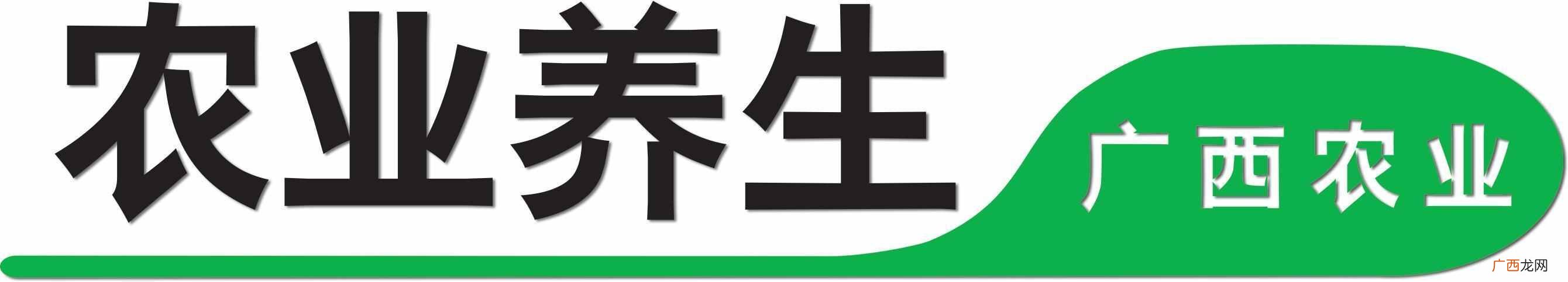养生火锅里都有什么 养生火锅选什么锅底好