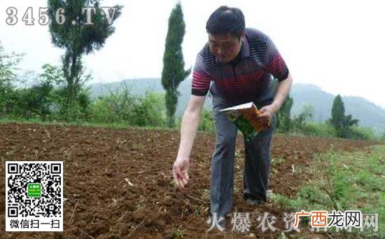 地膜玉米播种机视频 玉米播种技术