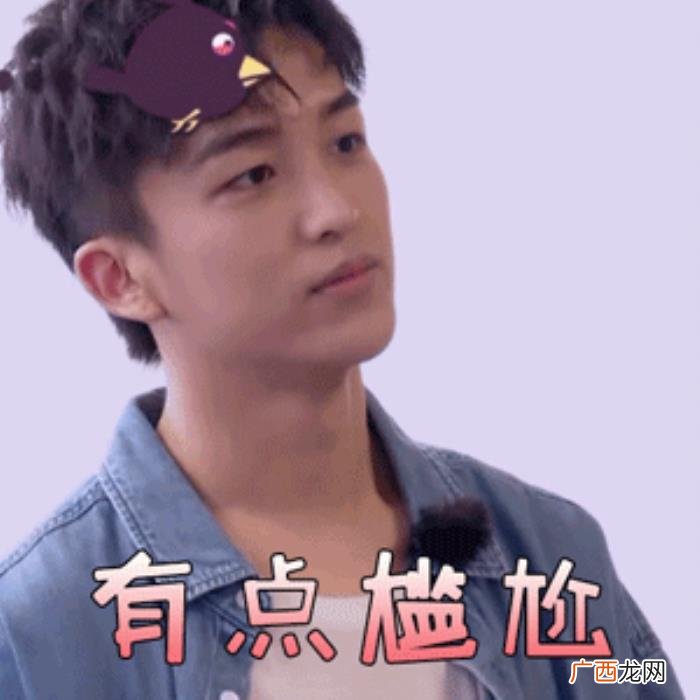 狮子男白羊女，白羊座&amp;AMP;狮子座
