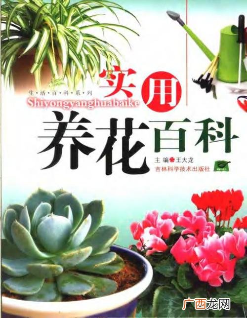 什么是中国网 花卉中国网