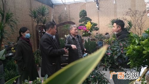 花卉和园艺有什么区别 西安花卉园艺有限公司