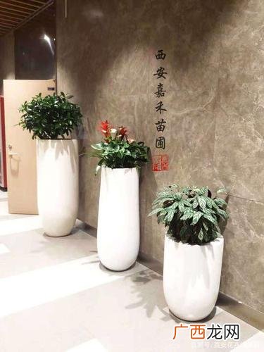 花卉和园艺有什么区别 西安花卉园艺有限公司