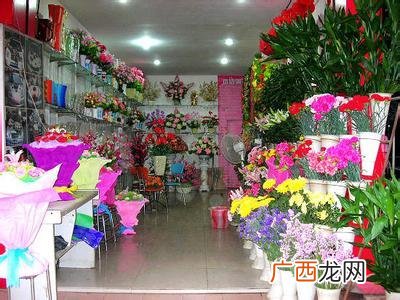 附近的花卉批发市场在哪里 云南草花卉批发市场
