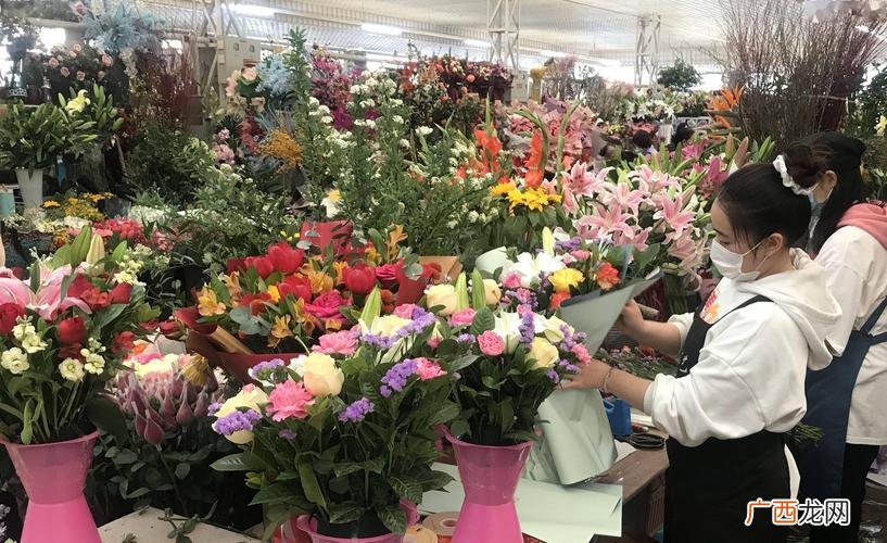 附近的花卉批发市场在哪里 云南草花卉批发市场