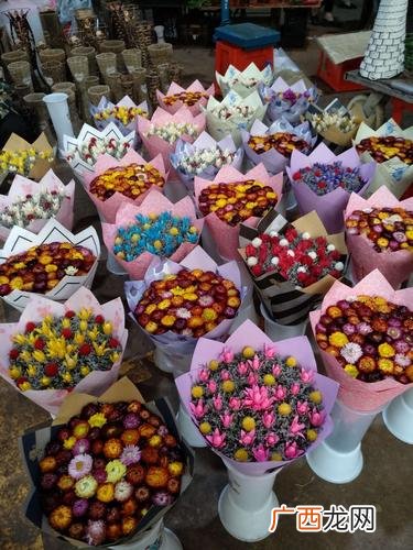附近的花卉批发市场在哪里 云南草花卉批发市场