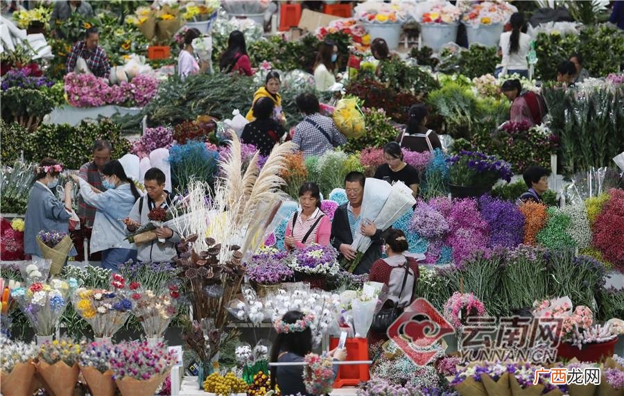 云南斗南花市场在哪里 云南斗南花卉批发营业时间