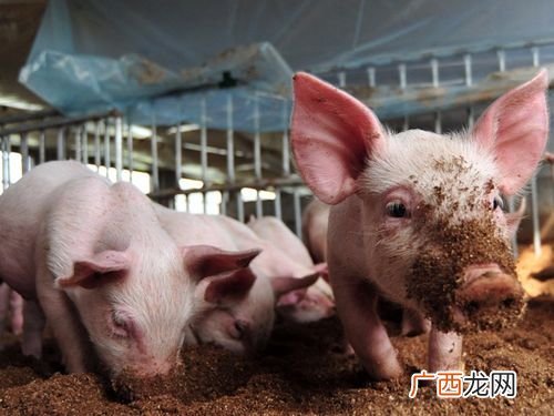 2019年水产养殖新政策 2019年水产下跌