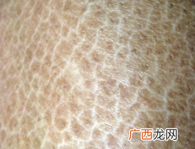 天津水产批发哪里便宜 天津水产鱼病专家电话