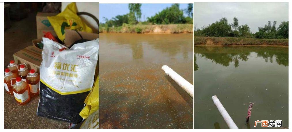 天津水产批发哪里便宜 天津水产鱼病专家电话