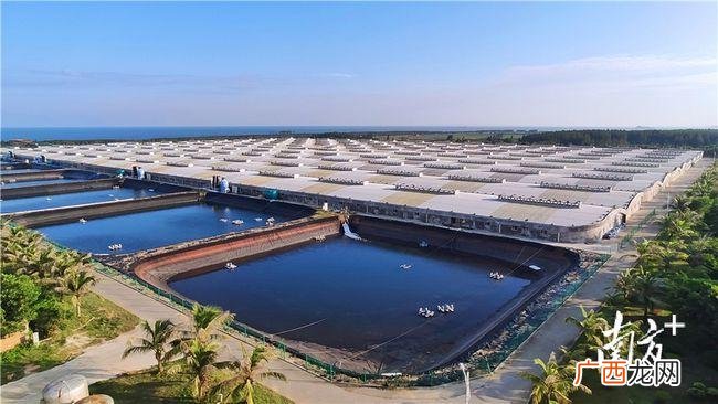泰国水产市场在哪里 全球水产公司十强