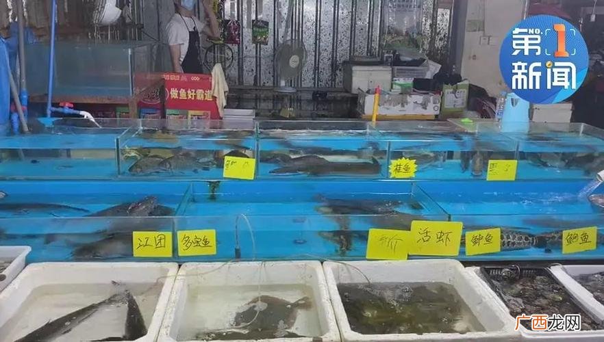 今日水产价格 水产鱼类市场批发价