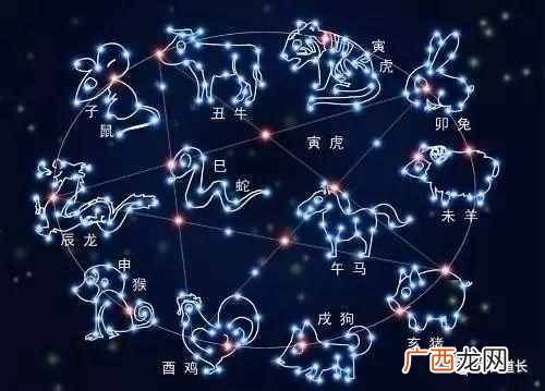 什么生肖的人性格好（十二生肖的人都有什么特