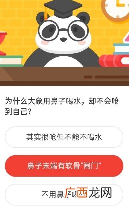 森林驿站为什么大象用鼻子喝水，却不会呛到自己