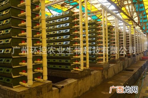 养殖螃蟹需要什么条件 中国水产网螃蟹养殖