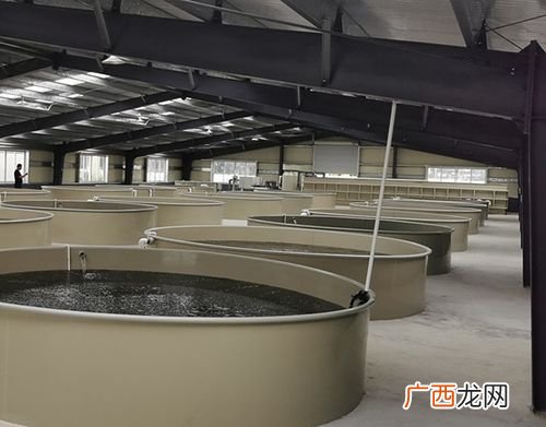 工厂化水产养殖鱼池 科技水产养殖场
