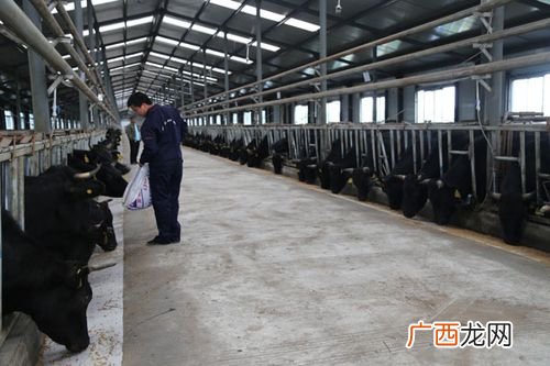 工厂化水产养殖鱼池 科技水产养殖场
