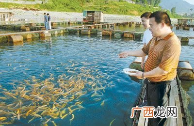 水产养殖设备 全国哪里养殖水产