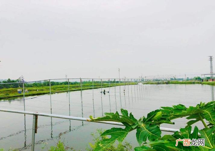 水产养殖设备 全国哪里养殖水产