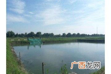 水产养殖设备 全国哪里养殖水产