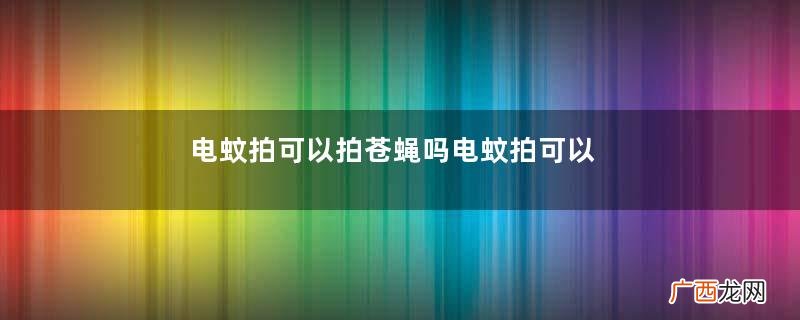 电蚊拍可以拍苍蝇吗电蚊拍可以带上高铁吗