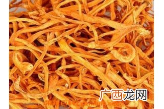 虫草花的功效与作用及药用价值