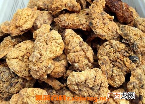 紫河车的功效与作用及药用价值