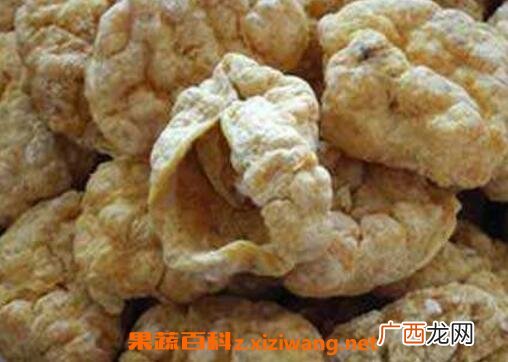 紫河车的功效与作用及药用价值