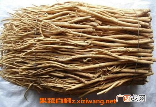 紫皮甘草是什么东西 紫甘草的作用及食用方法