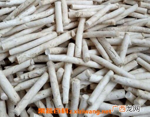 通草的功效与作用及食用方法
