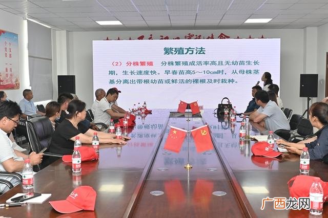艾绒加工厂,艾草加工设备制造厂